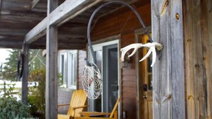 Une véranda en bois avec une chaise et une cage à oiseaux suspendue.