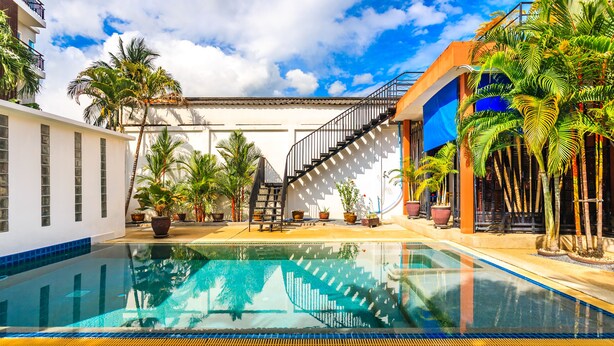 A swimming pool with a clear blue water surface, surrounded by potted plants and palm trees.