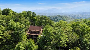 A cabin surrounded by dense forest with a clear view of distant mountains. - Charming three bedroom home nestled on five acres (Townsend)