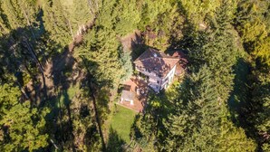Vue aérienne d’une maison entourée d’une forêt dense.