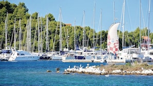 A marina with multiple sailboats docked, surrounded by trees and a rocky shoreline.