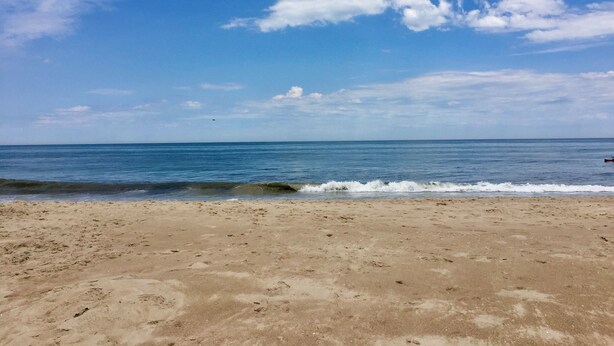 Une plage avec un ciel dégagé et une mer calme.