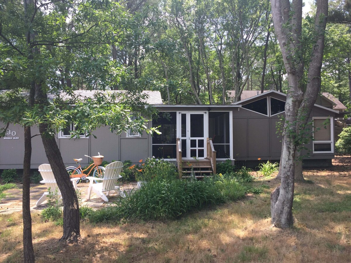 Imagen de perfil del propietario o de la propietaria