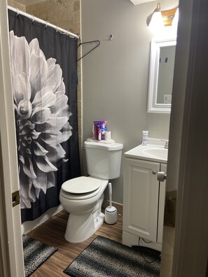 Hair dryer, towels, soap, shampoo