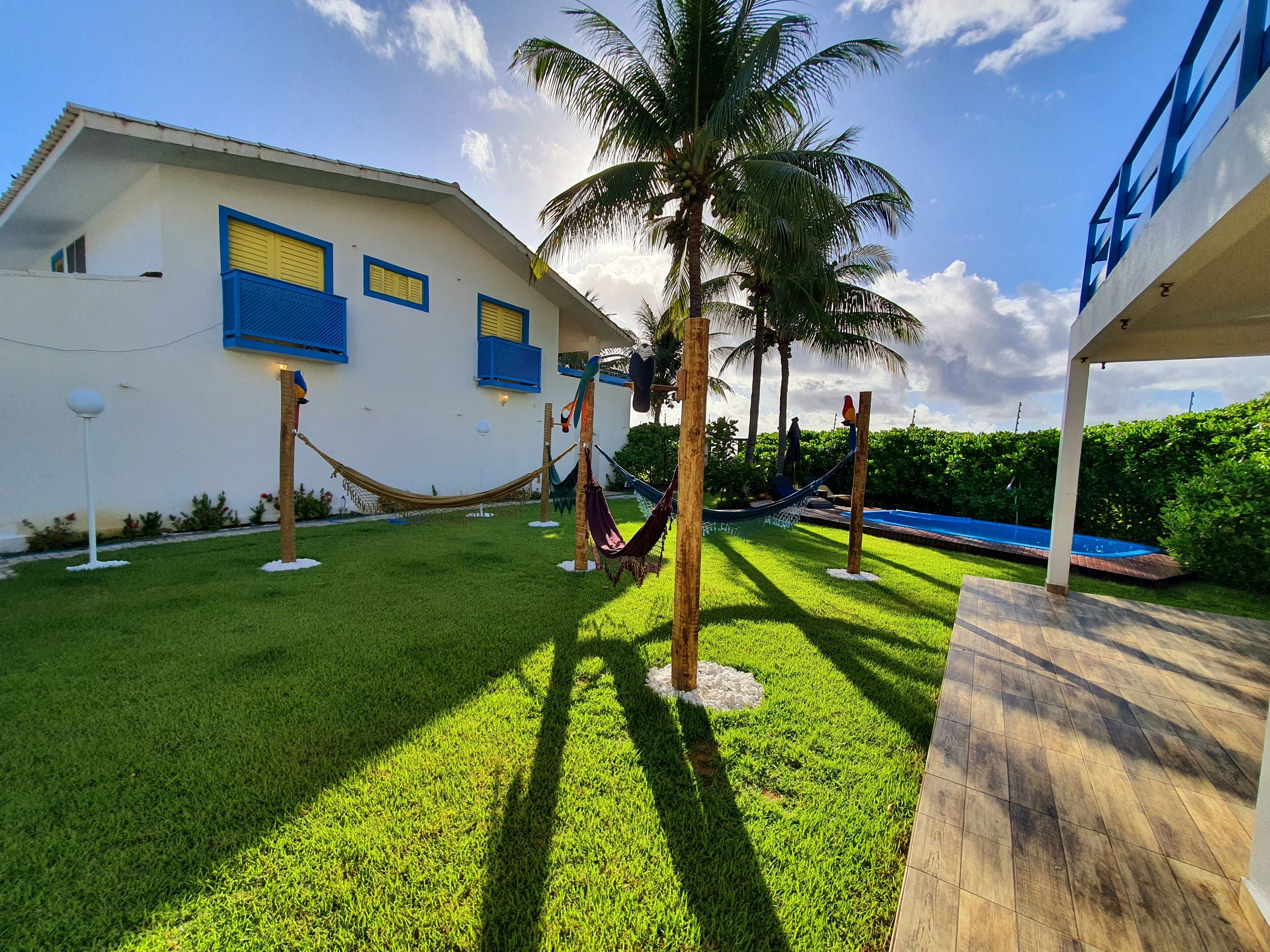 A well-maintained outdoor area with a grassy lawn, a hammock, a palm tree, and a swimming pool.