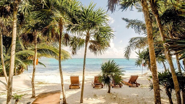 A beach with palm trees, a wooden walkway, and lounge chairs. - Azumaya Beach House Tulum – Beachfront, Chef Included (Tulum)