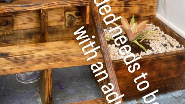 A wooden bench with a planter box containing a plant. - Cozy Home w/ private parking- 10 min to beach (Arecibo)
