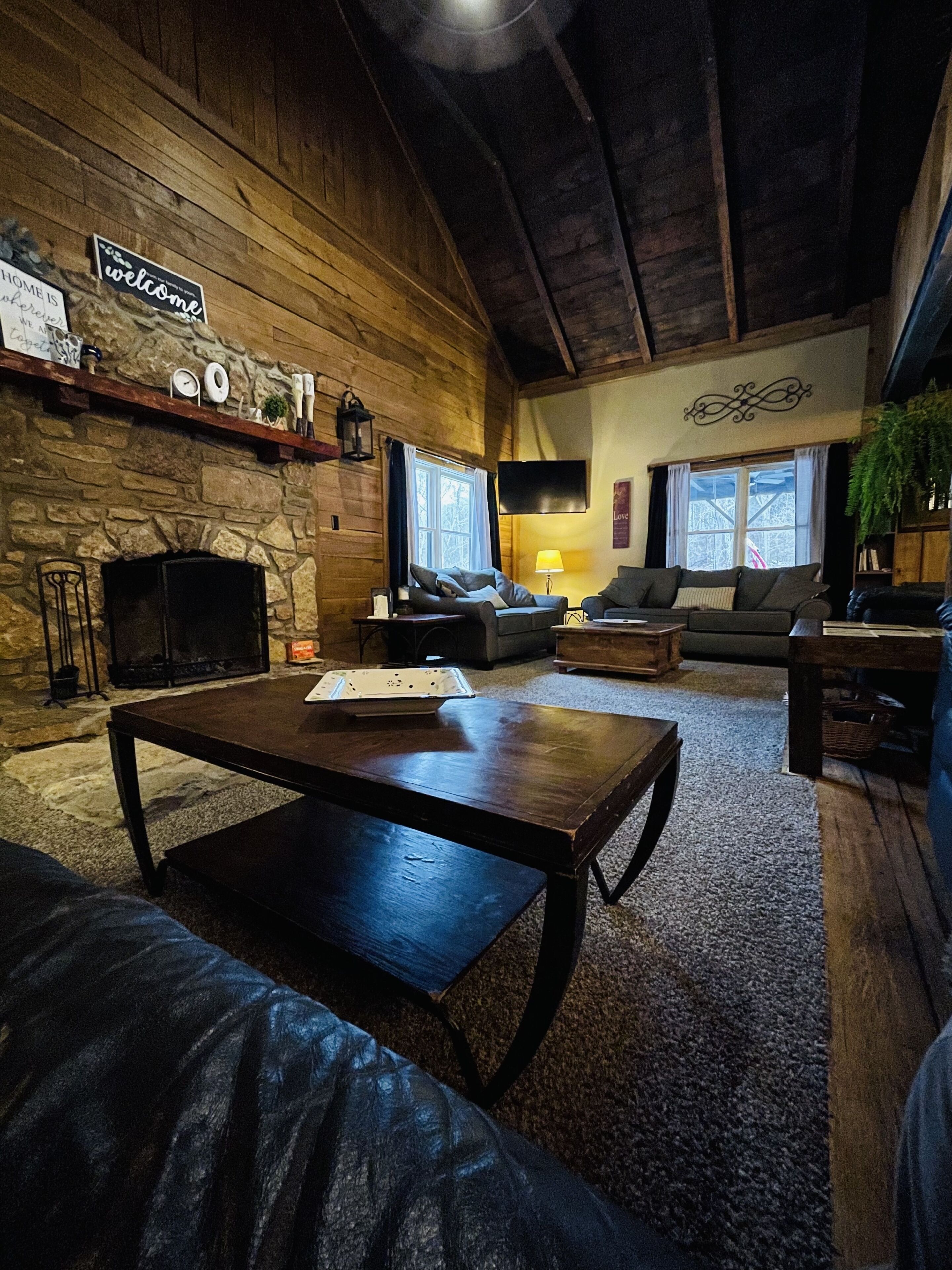 TV, fireplace, books