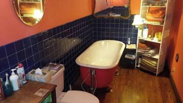 Een douche, een bubbelbad, een haardroger, handdoeken