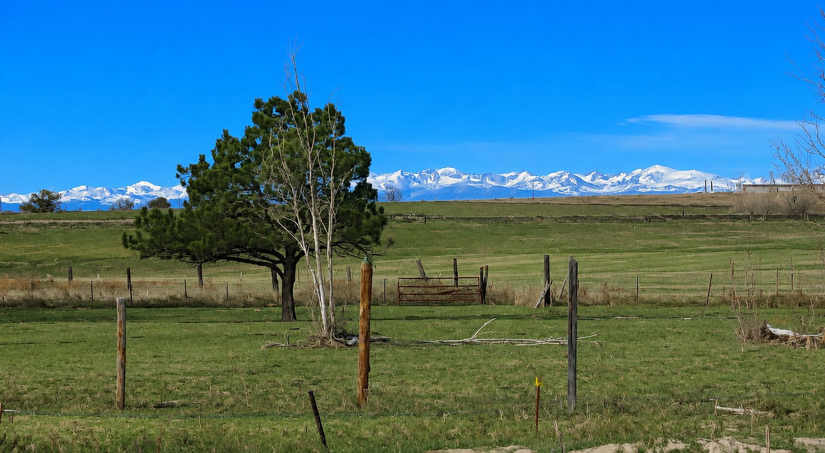 A grassy field with a tree and a fence, with snow-capped mountains in the background.