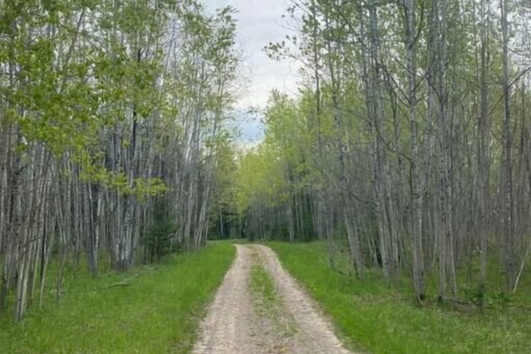 04eeabb1 9532 47eb 8ad7 97c574df4ff8