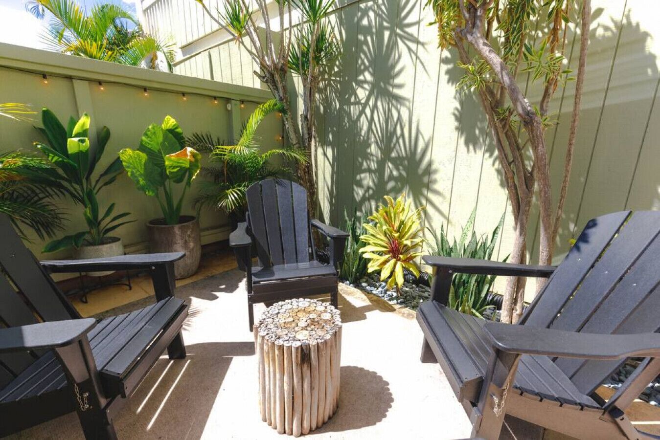 Une terrasse avec des chaises noires et une table en bois, entourée de plantes en pot et d’un petit arbre.