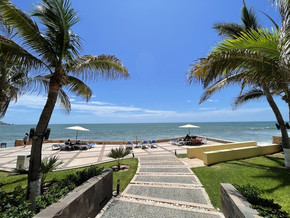 A beachside walkway with palm trees, lounge chairs, and umbrellas.