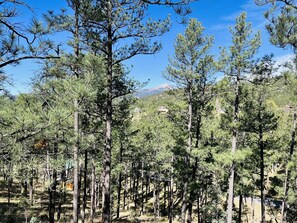 Property grounds - FAMILY FRIENDLY HOUSE!  GREAT MOUNTAIN VIEWS!   SLEEPS 14 (Ruidoso)