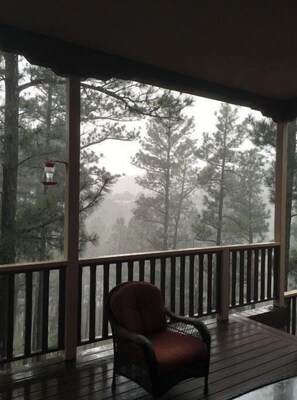 Property grounds - FAMILY FRIENDLY HOUSE!  GREAT MOUNTAIN VIEWS!   SLEEPS 14 (Ruidoso)