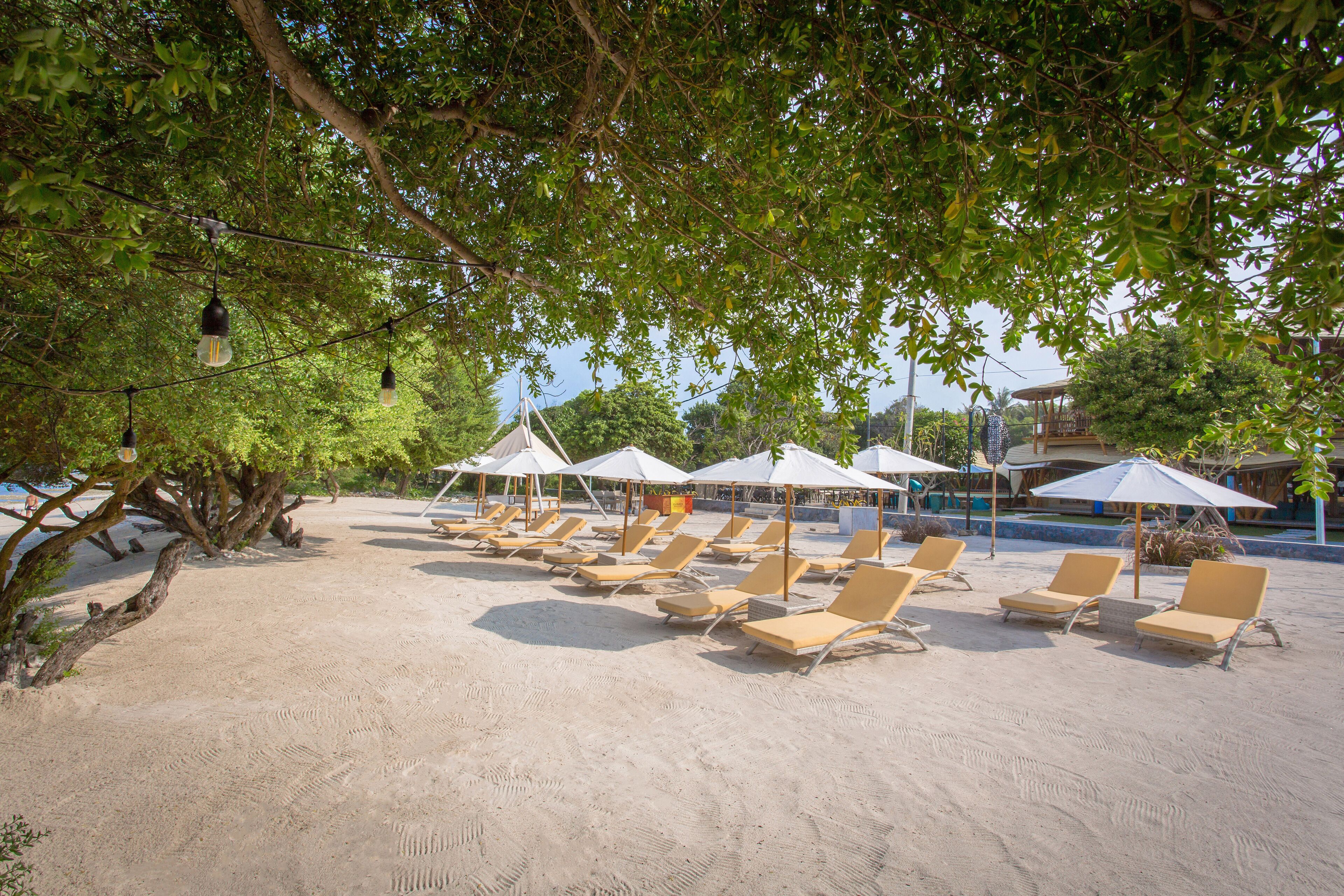 A beachside area with sun loungers and umbrellas under trees.