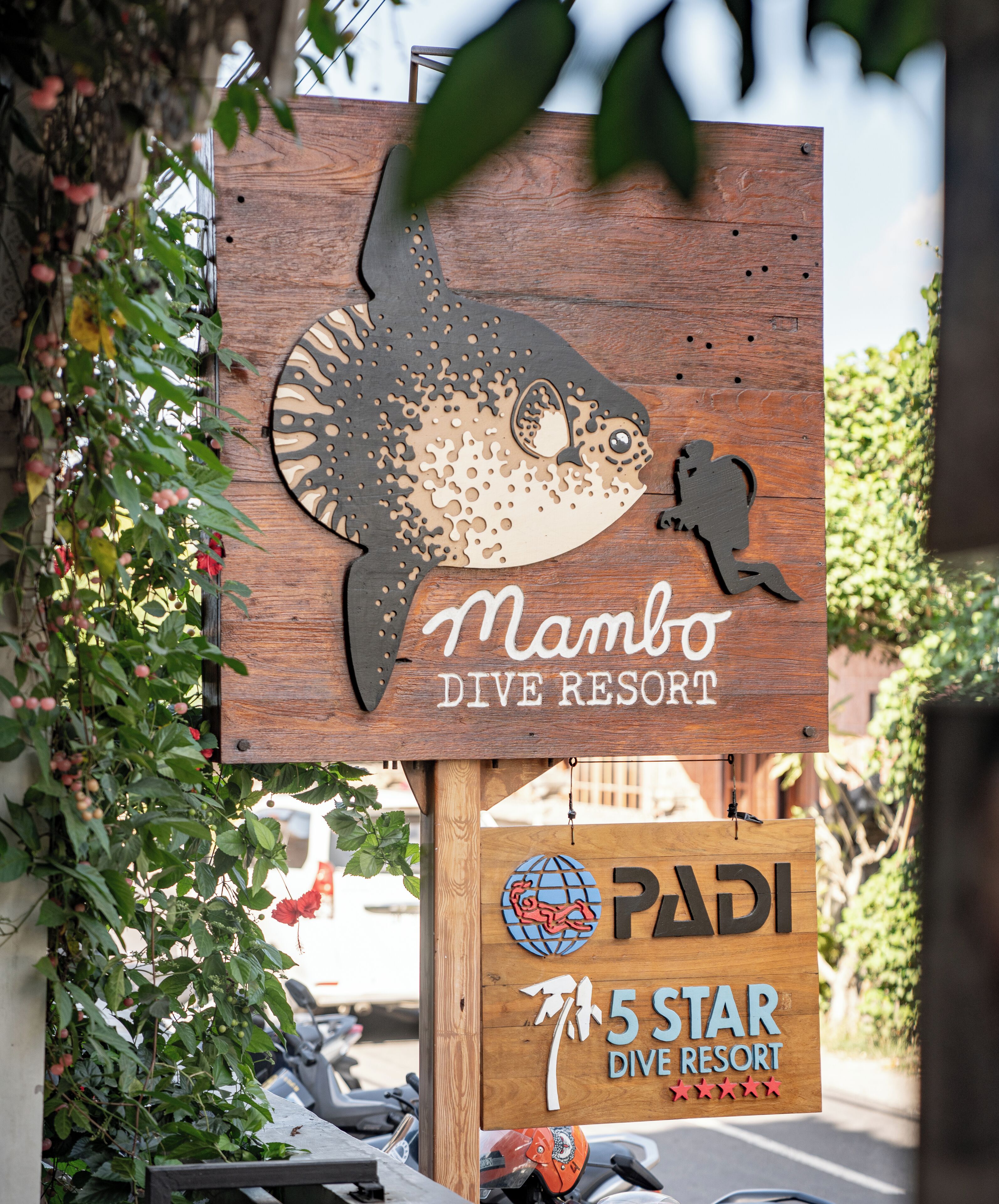 Señal de madera del Mambo Dive Resort con ilustración de un tiburón y un buzo, calificación de 5 estrellas y logotipo de PADI.