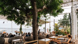 Un área de estar al aire libre con muebles de madera y un gran árbol que da sombra.
