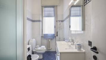 Shower, hair dryer, bidet, towels