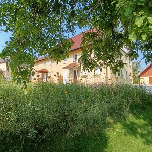 Esterni