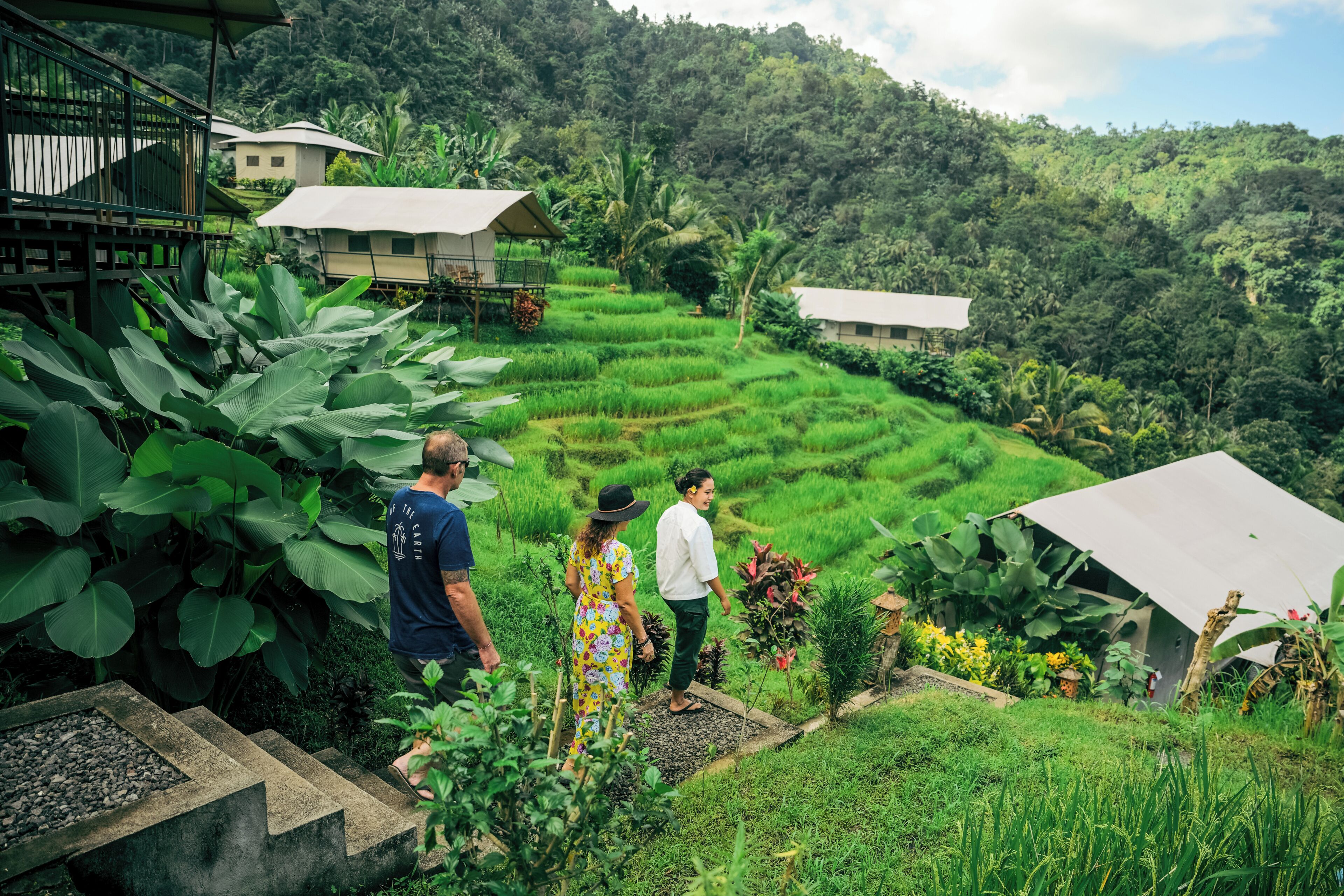 A lush green landscape with terraced fields, a wooden deck, and a small building with a sloped roof.
