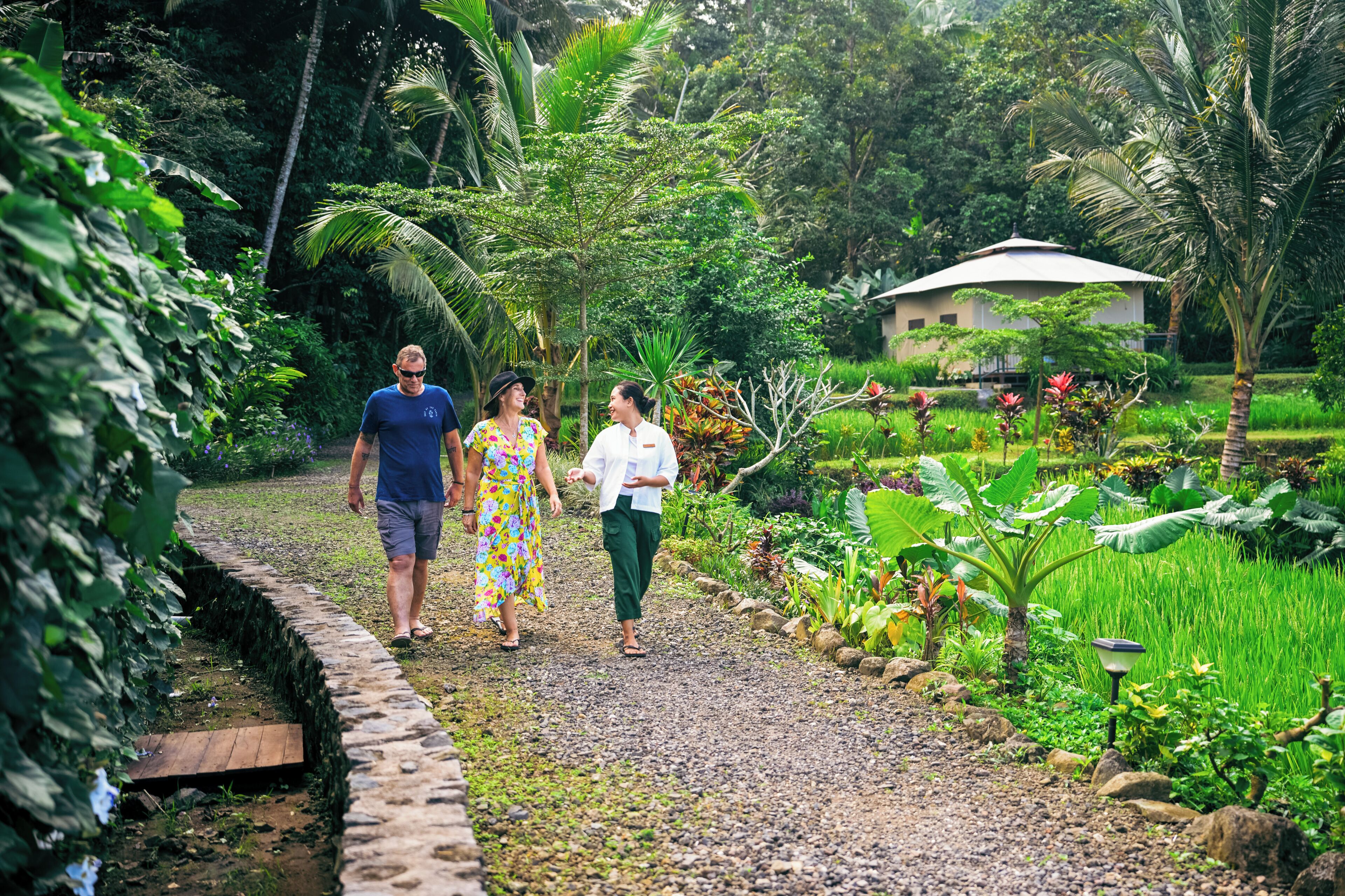 A pathway in a lush garden with a house in the background.