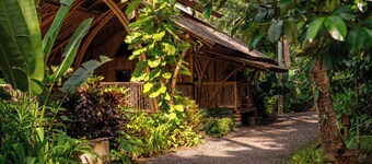 카우라 발리