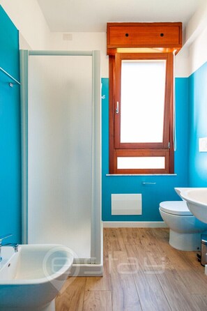 Shower, hair dryer, bidet, towels