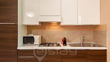 KĂŒhlschrank, Mikrowelle, Herdplatte, GeschirrspĂŒler