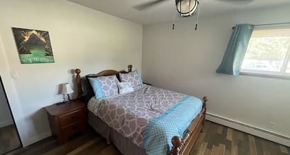 Spacious 3BR home overlooking Boom Lake, Hodag Park, and Rhinelander amenities