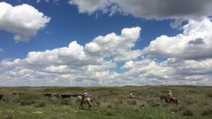 A wide-open landscape with a clear sky and scattered clouds. - Retreat to nowhere. (Petrolia)
