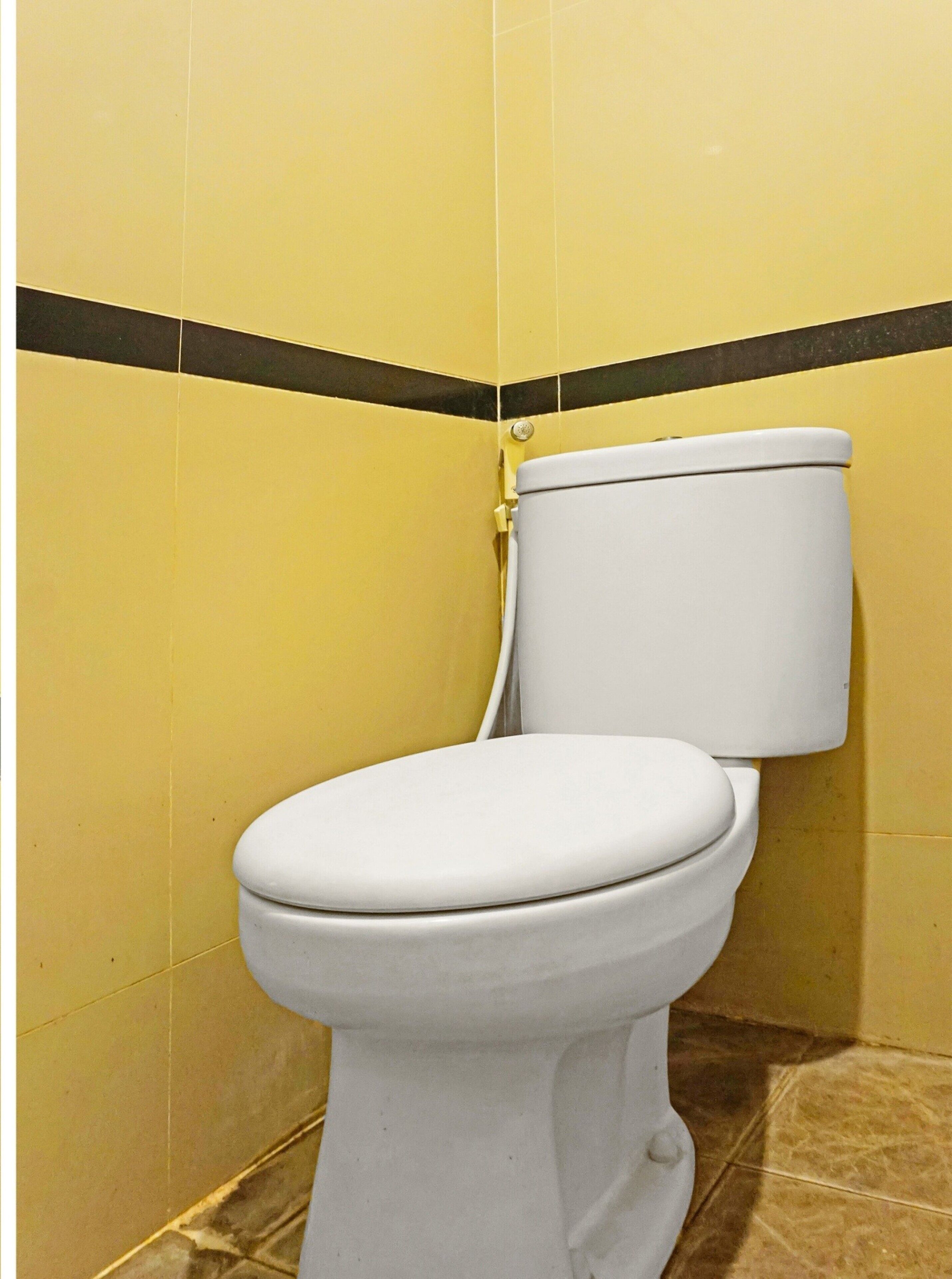 shower, rainfall showerhead, towels, toilet paper