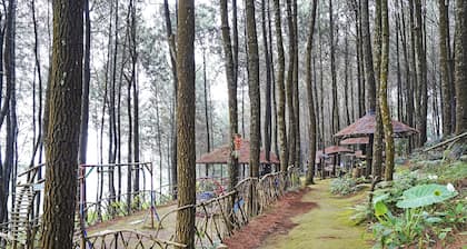 OYO Homes 90914 Eco Tourism Desa Cipada Bukit Senyum Homestay Syariah