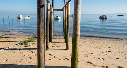 -50% Toussaint et pont 11 novembre , Villa La Conche Vue Bassin,