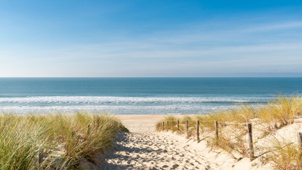 Een zandpad langs het strand dat naar de oceaan leidt, met een houten hek en gras aan beide zijden.