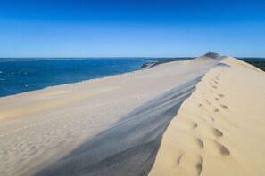 Sur la plage, serviettes de plage