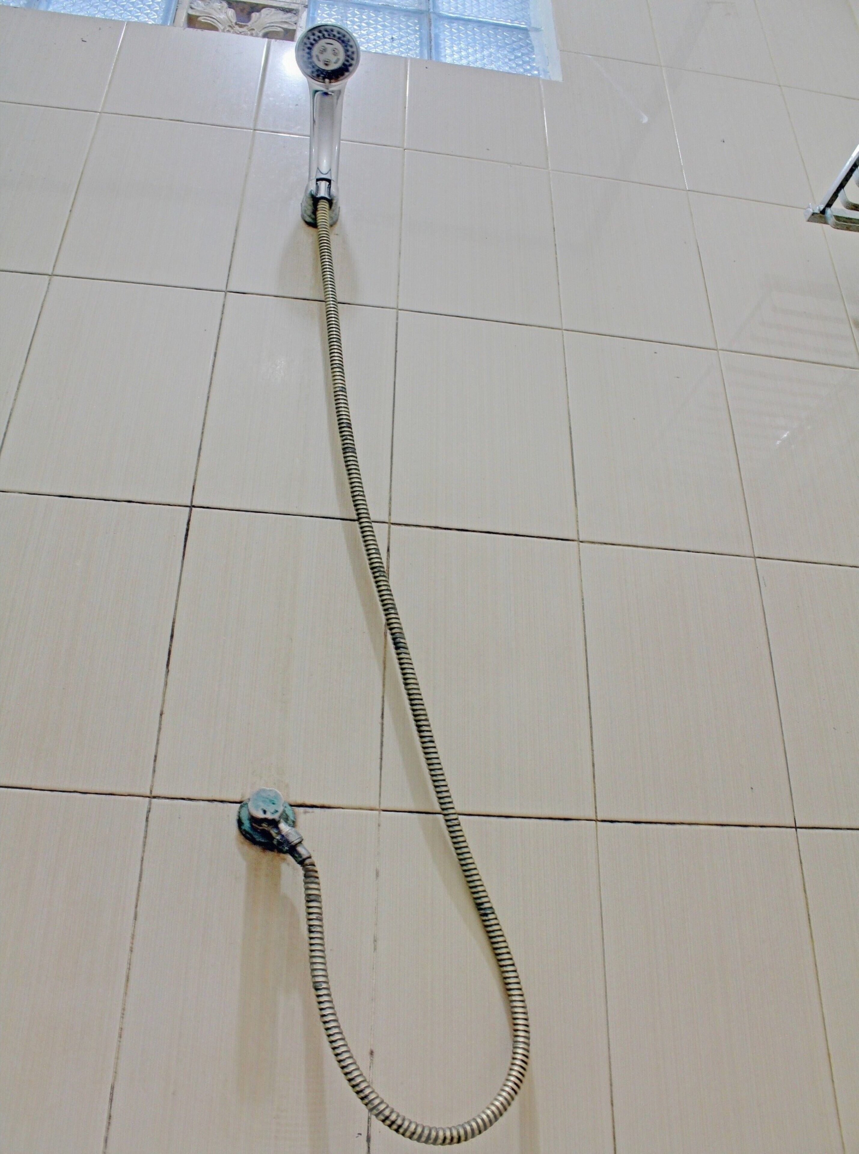Shower, rainfall showerhead, towels, toilet paper