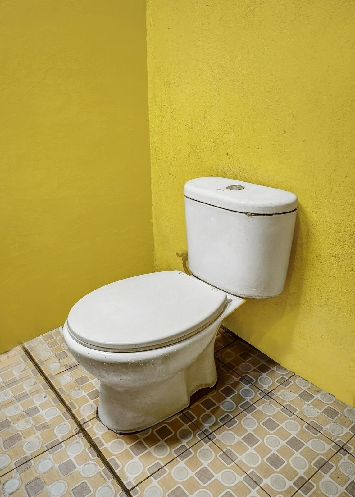 Standard-Doppelzimmer | Badezimmer | Dusche, Regendusche, Toilettenpapier