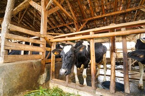 A barn with wooden beams and a metal gate. - OYO Homes 91009 Eco Tourism Desa Cibodas Areng 4 Syariah (Lembang)
