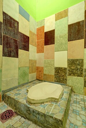 Habitación básica doble | Baño | Ducha, toallas y papel higiénico