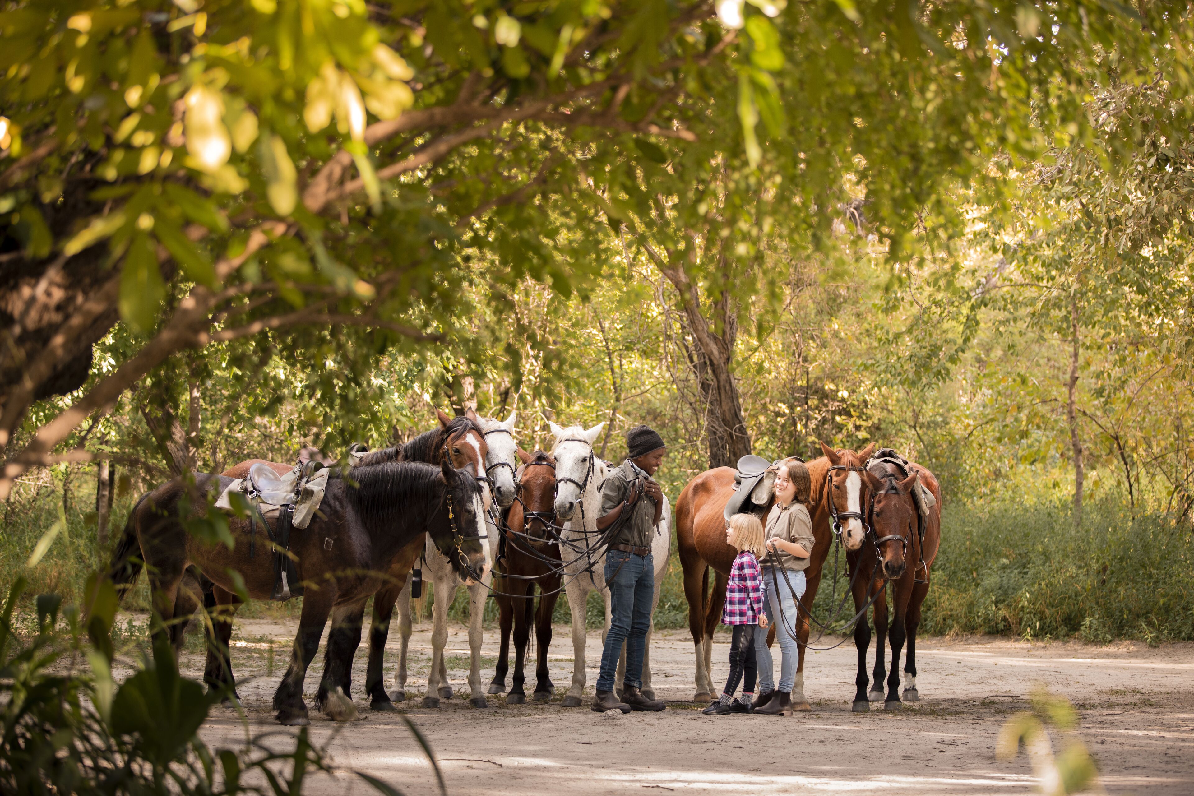 A group of people with horses on a dirt path surrounded by trees.