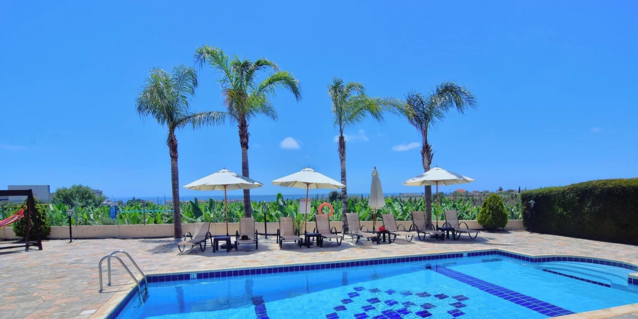 A swimming pool with lounge chairs and umbrellas, palm trees, and a view of the ocean.