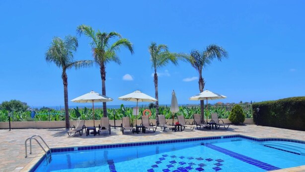 Una piscina con sillas de descanso y sombrillas, palmeras y vista al océano.