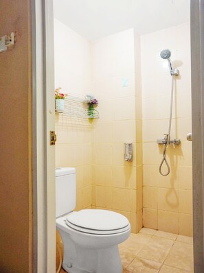 Shower, towels, toilet paper