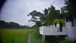 Un sendero conduce a un edificio blanco con entrada protegida por una reja, rodeado de abundante vegetación y un campo de arroz.