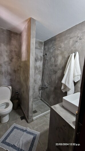 Shower, hair dryer, towels, toilet paper