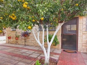 A tree with yellow fruits, potted plants, and a door with a metal gate. - Villa Kavalino (Κολύμπια)