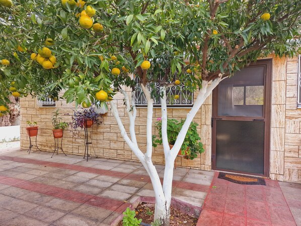 Détail de l’extérieur