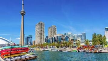 Pemandangan dari properti