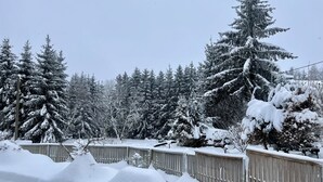 A snow-covered landscape with dense evergreen trees and a wooden fence. - Vacation home Selma by Interhome (Suhl)
